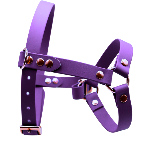 Fioletowe szelki z BioThane