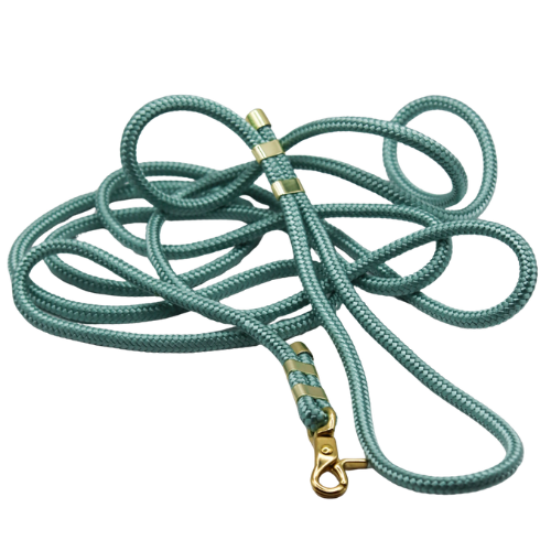 Logo cocollar - 2024-03-12T151250.485.png