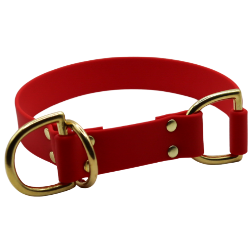 Logo cocollar - 2024-03-17T141637.193.png