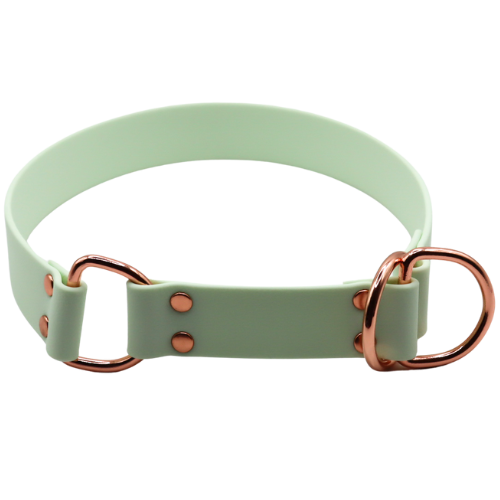 Logo cocollar - 2024-03-17T150144.873.png