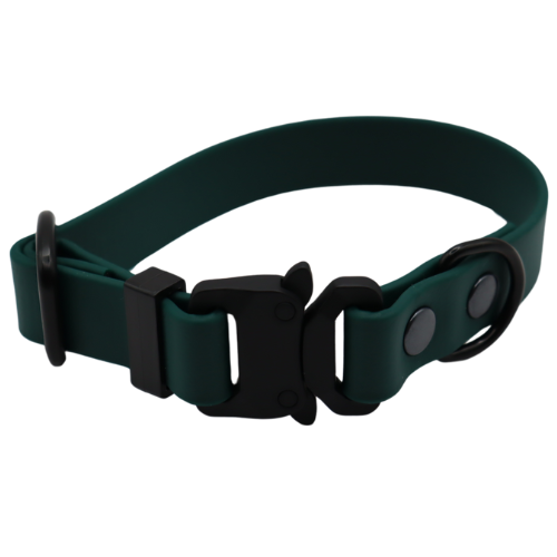 Logo cocollar - 2024-03-22T205738.904.png