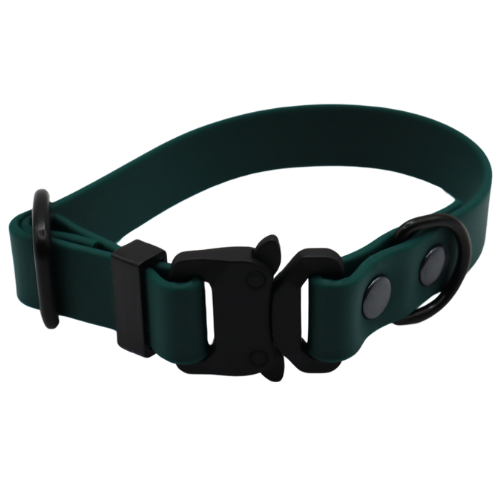Logo cocollar - 2024-03-22T205738.904.png