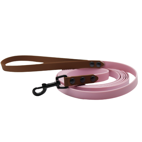 Logo cocollar - 2024-03-23T225542.458.png