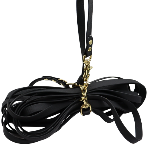 Logo cocollar - 2024-03-23T234520.681.png