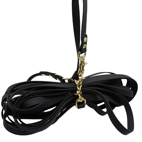 Logo cocollar - 2024-03-23T234520.681.png