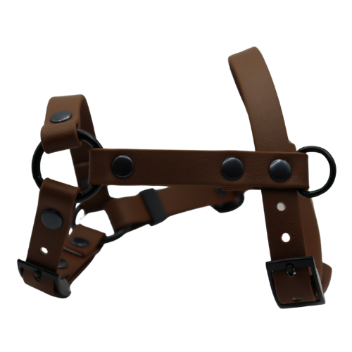 Logo cocollar - 2024-04-15T233644.483.png