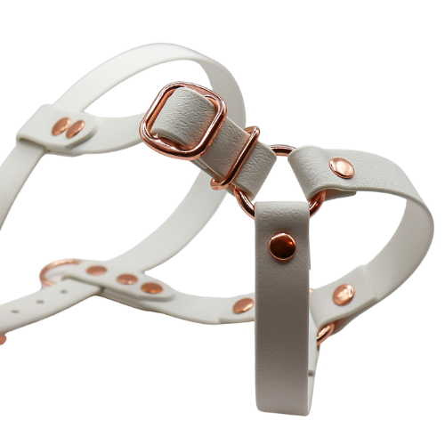 Logo cocollar - 2024-04-17T172238.643.png