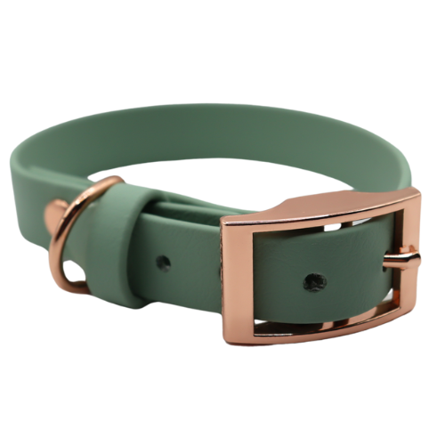 Logo cocollar - 2024-05-22T191351.652.png