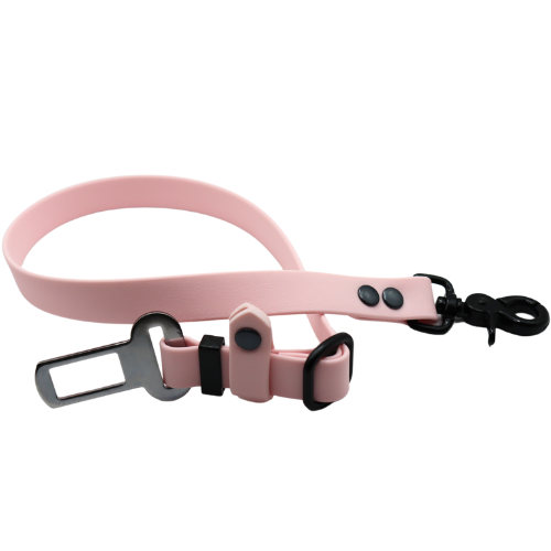 Logo cocollar - 2024-05-24T161110.315.png