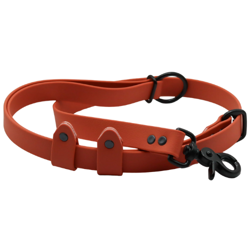 Logo cocollar - 2024-06-05T144827.483.png