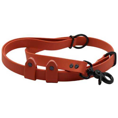 Logo cocollar - 2024-06-05T144827.483.png