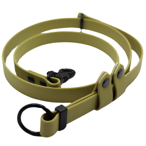 Logo cocollar - 2024-06-05T152436.244.png
