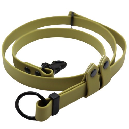Logo cocollar - 2024-06-05T152436.244.png