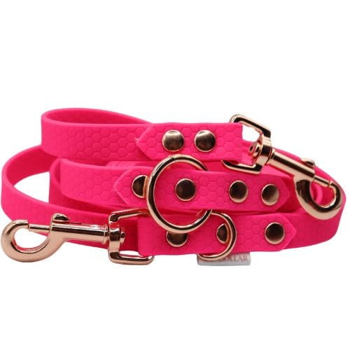 Logo cocollar - 2024-07-14T222250.304.jpg