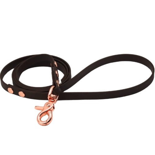 Brązowa smycz dla psa