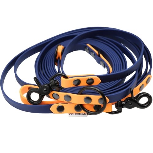 Midnight Blue z pomarańczowymi zdobieniami