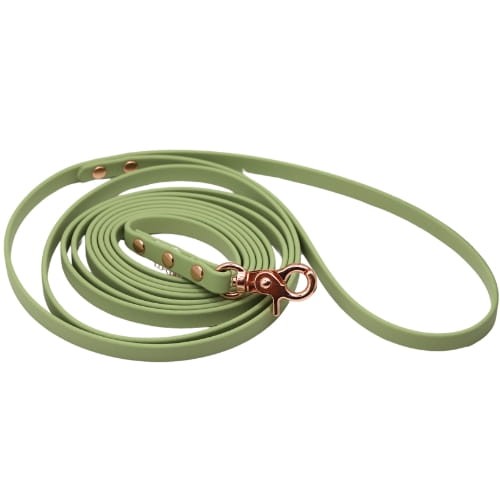 Smycz pistacjowa BioThane