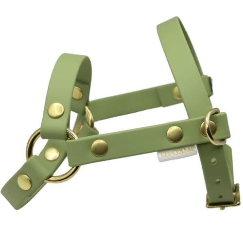 Pistacjowe szelki z BioThane