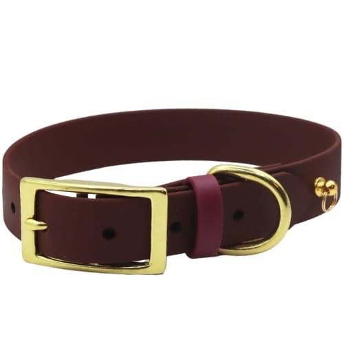 Obroża z kolorową szlufką