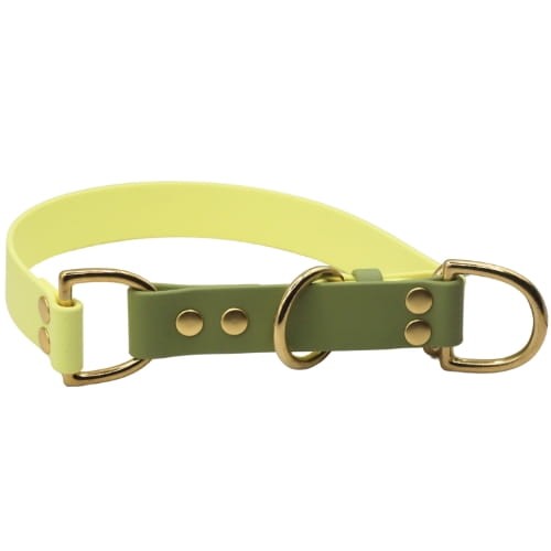 Obroża dla owczarka australijskiego