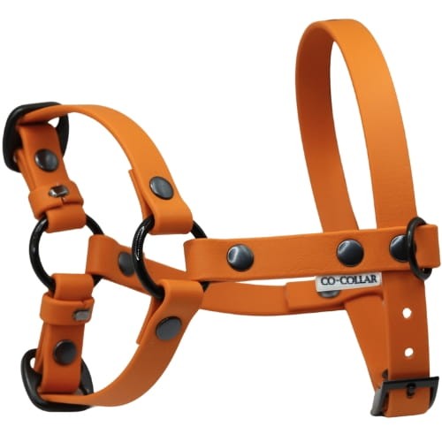 Zdjęcia produktowe na stronę - 2025-08-11T195041.159.jpg