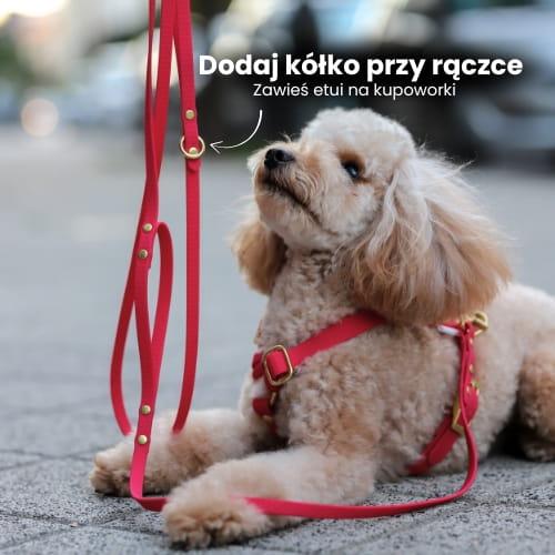 Smycz z kółkiem przy rączce