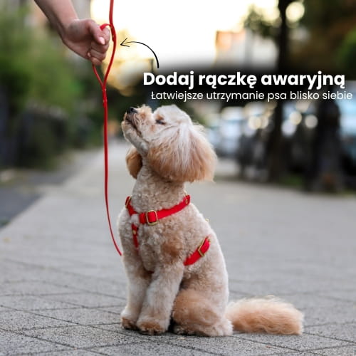 Smycz z rączką awaryjną