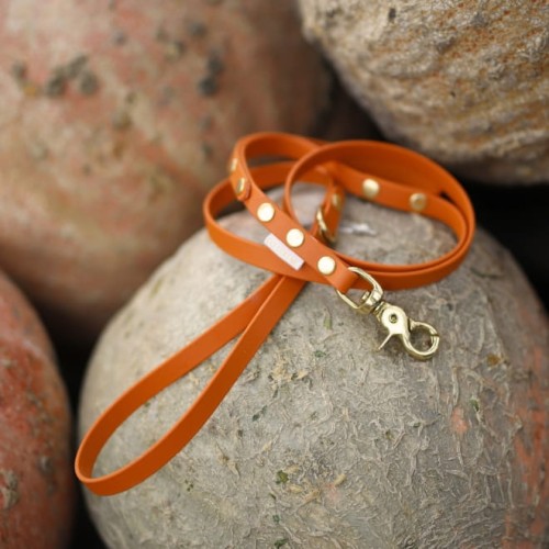 Smycz dla szczeniaka