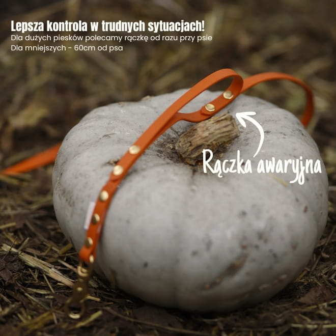 Smycz treningowa dla psa