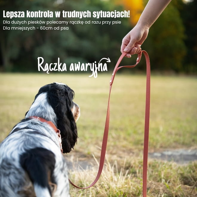 smycz dla spaniela