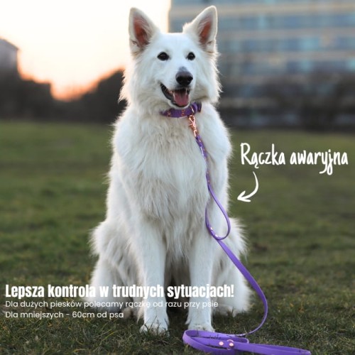 mocna smycz dla silnego psa