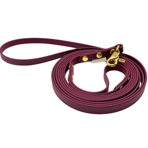 Smycz z BioThane Wino