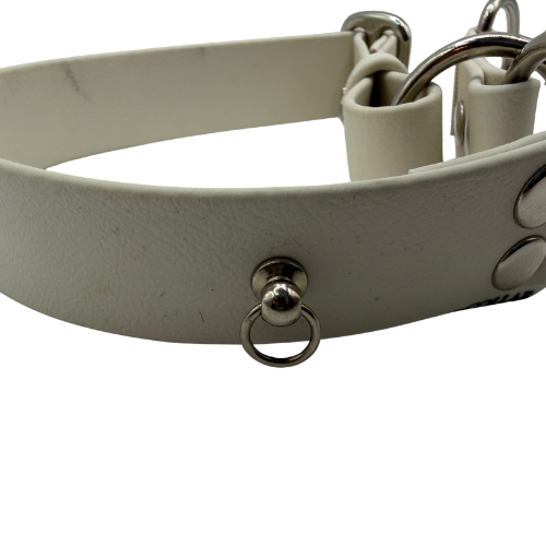 Mały karabińczyk (dla małego psa) (27).png