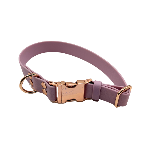 outlet (4).png