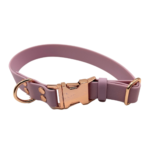 outlet (6).png