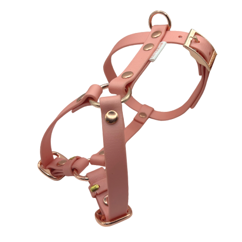 Zdjęcia produktowe - 34.png