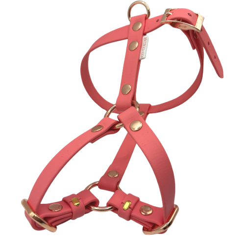 Zdjęcia produktowe - 33.png