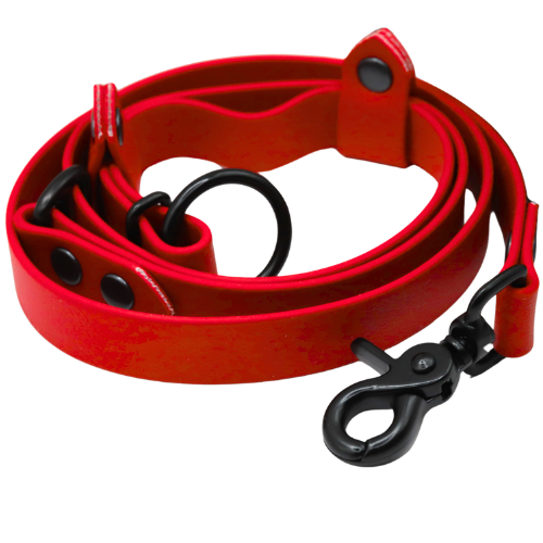 Chilli Red (1).png
