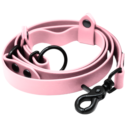 Pas Ballet Pink.png