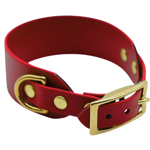 Czerwona obroża dla charta.png