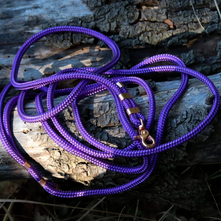 True Purple2.JPG